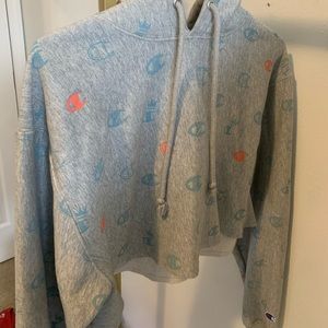 Champion hoodie